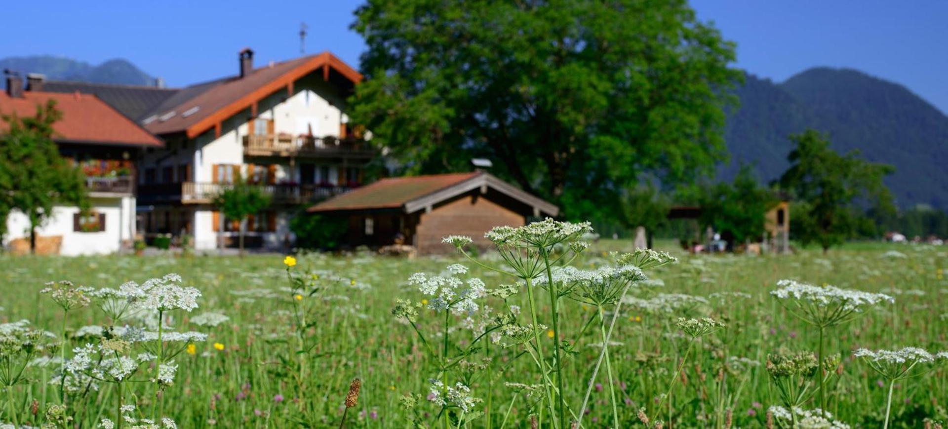 Ferienwohnungen Ramslerhof Inkl. Chiemgaukarte Рупольдінг Екстер'єр фото